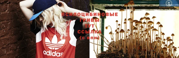спайс Арсеньев