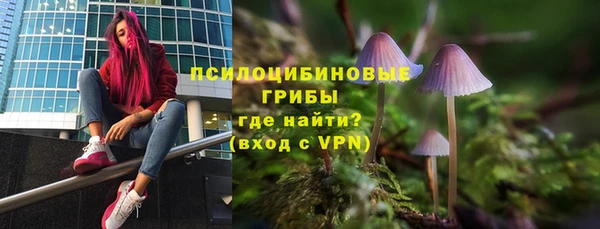 спайс Арсеньев