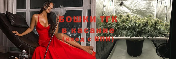 трава Армянск
