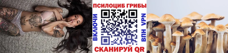 магазин наркотиков Асино Галлюциногенные грибы MAGIC MUSHROOMS